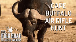 The High Road - Cape Buffalo