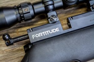 Benjamin Fortitude air rifle