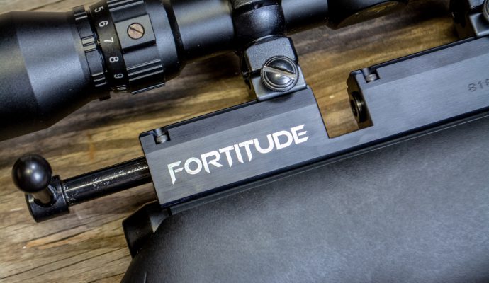 Benjamin Fortitude air rifle