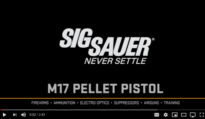 Sig Air M17 video