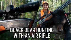 Black Bear Hunting with an Air Rifle