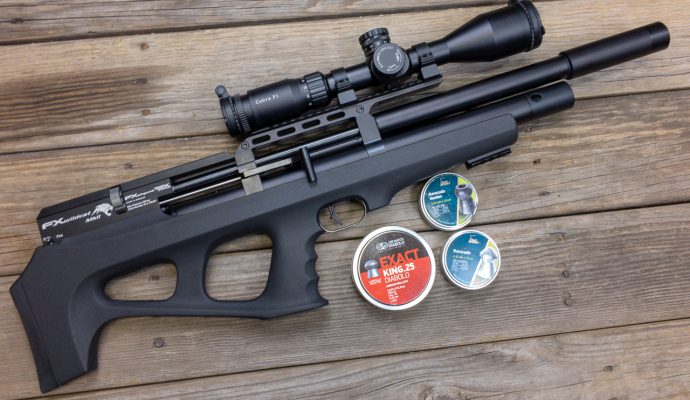 We tested the FX Airguns Wildcat Mk II air rifle chambered in .25 caliber.