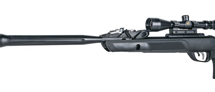 Gamo Swarm Maxxim Gen 2