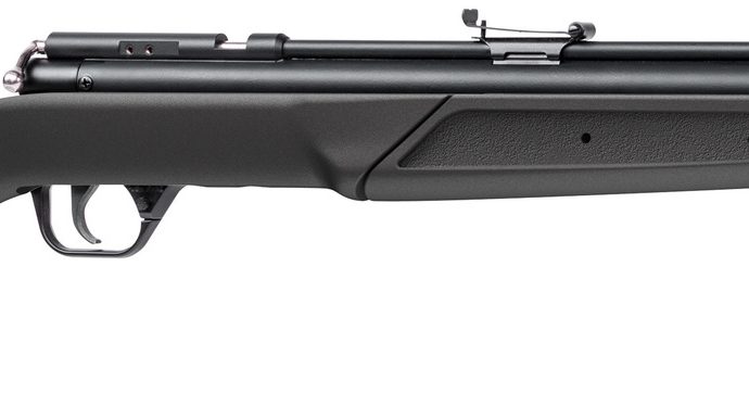 benjamin 397s 392s air rifle